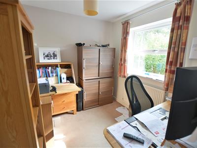 Picture 14